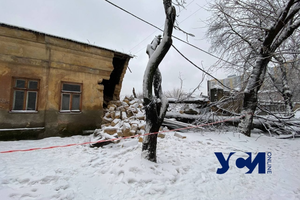Последствия стихии: в Одессе упавшее дерево разрушило часть дома (обновлено) фото 4