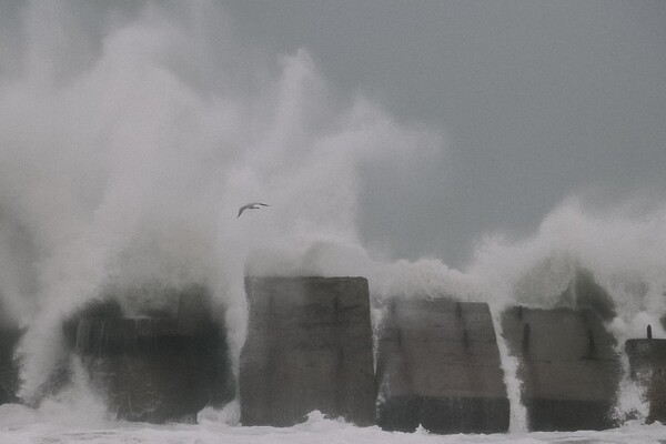 Полюбуйся стихией: на побережье Одессы обрушился сильный шторм  фото 1