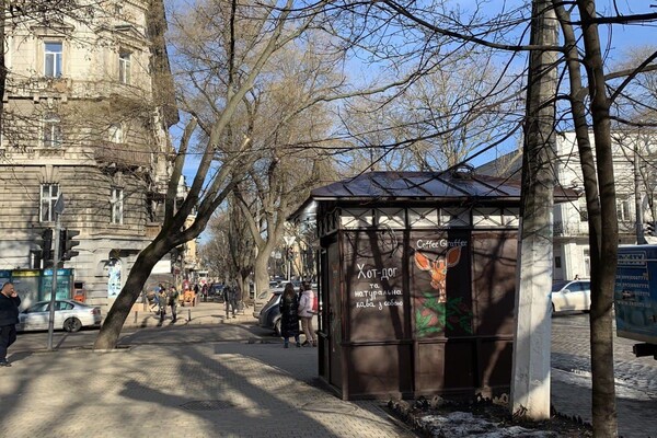 Удивительная Одесса: познавательная прогулка по улице Льва Толстого  фото 96