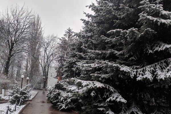 Странный март: в Одессе снова выпал снег фото