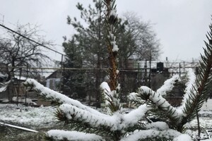 Странный март: в Одессе снова выпал снег фото 2