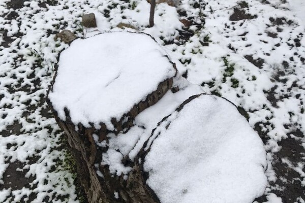Странный март: в Одессе снова выпал снег фото 3