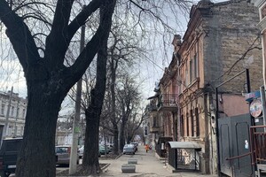 Интересная Одесса: путеводитель по улице Градоначальницкой фото 51