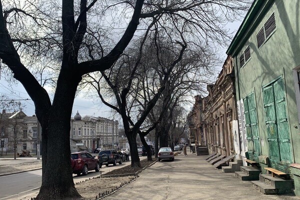 Интересная Одесса: путеводитель по улице Градоначальницкой фото 60