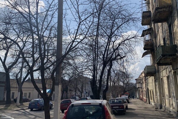 Интересная Одесса: путеводитель по улице Градоначальницкой фото 100