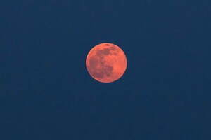 Ночь перед штормом: в небе над Одессой взошла необычная Луна фото