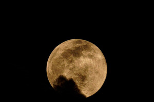 Ночь перед штормом: в небе над Одессой взошла необычная Луна фото 5