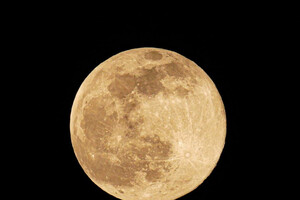 Ночь перед штормом: в небе над Одессой взошла необычная Луна фото 6