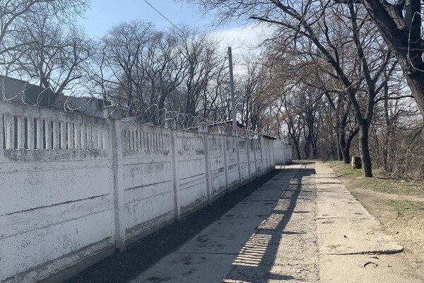 Забытый уголок Одессы: интересная прогулка в Херсонский сквер  фото 24