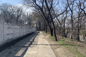 Забытый уголок Одессы: интересная прогулка в Херсонский сквер  фото 38