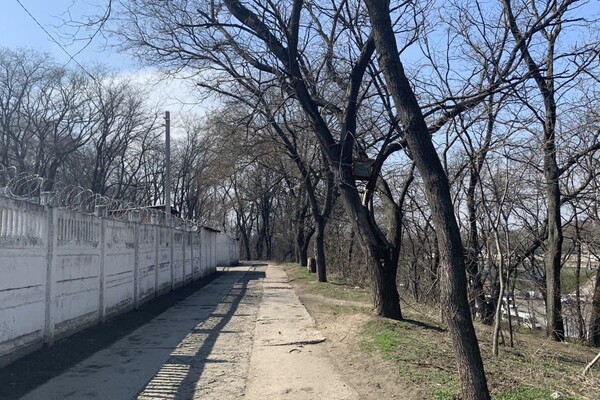 Забытый уголок Одессы: интересная прогулка в Херсонский сквер  фото 50