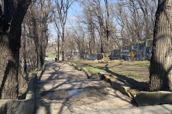 Забытый уголок Одессы: интересная прогулка в Херсонский сквер  фото 125
