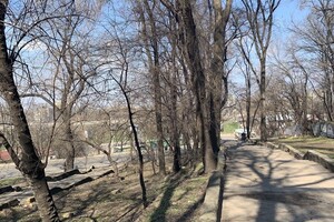 Забытый уголок Одессы: интересная прогулка в Херсонский сквер  фото 136