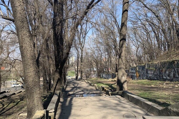 Забытый уголок Одессы: интересная прогулка в Херсонский сквер  фото 140