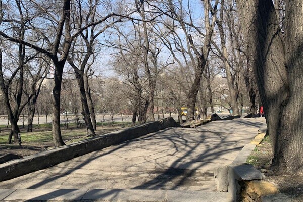 Забытый уголок Одессы: интересная прогулка в Херсонский сквер  фото 148