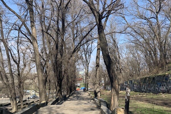 Забытый уголок Одессы: интересная прогулка в Херсонский сквер  фото 151