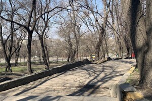 Забытый уголок Одессы: интересная прогулка в Херсонский сквер  фото 159