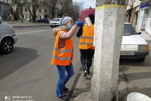 Никто не знает зачем: в Одессе снова побелили столбы  фото 2
