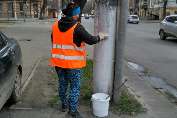 Никто не знает зачем: в Одессе снова побелили столбы  фото 3