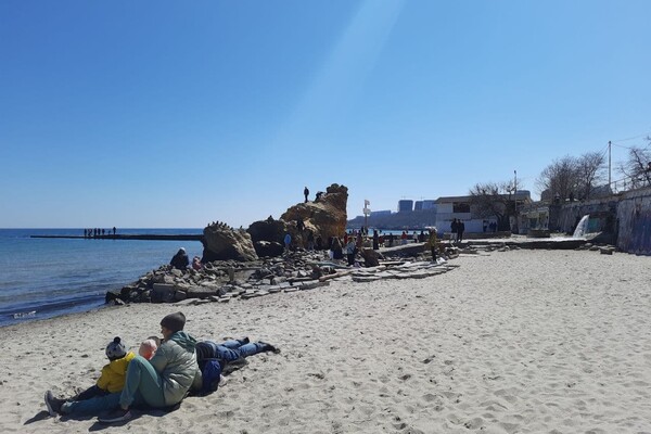 Полюбуйся: на побережье Одессы пенсионер создал пляж для птиц фото 6