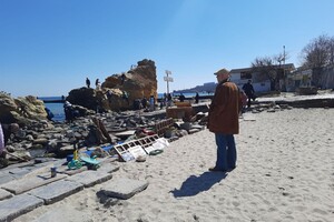 Полюбуйся: на побережье Одессы пенсионер создал пляж для птиц фото 3
