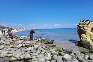 Полюбуйся: на побережье Одессы пенсионер создал пляж для птиц фото 4