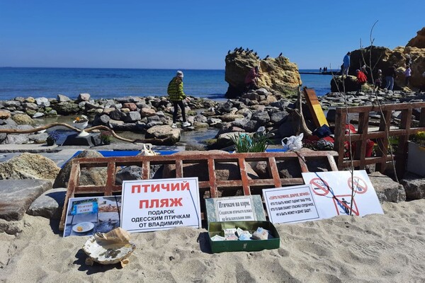 Полюбуйся: на побережье Одессы пенсионер создал пляж для птиц фото 1