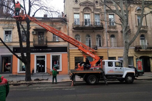 Обрезка деревьев и ремонты: где в Одессе частично перекрыли проезд  фото