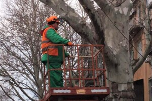 Обрезка деревьев и ремонты: где в Одессе частично перекрыли проезд  фото 1