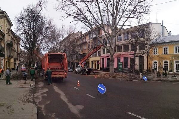 Обрезка деревьев и ремонты: где в Одессе частично перекрыли проезд  фото 2