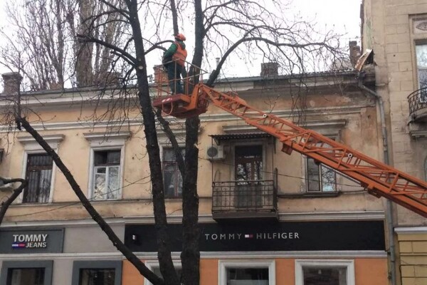 Обрезка деревьев и ремонты: где в Одессе частично перекрыли проезд  фото 3