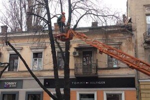 Обрезка деревьев и ремонты: где в Одессе частично перекрыли проезд  фото 3
