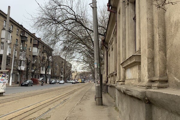 Пять скверов на три квартала: интересная прогулка по Молдаванке  фото 18