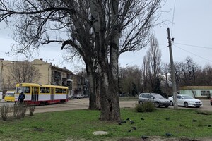 Пять скверов на три квартала: интересная прогулка по Молдаванке  фото 27