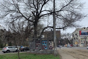 Пять скверов на три квартала: интересная прогулка по Молдаванке  фото 60