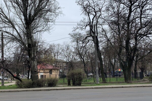 Пять скверов на три квартала: интересная прогулка по Молдаванке  фото 71