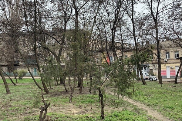 Пять скверов на три квартала: интересная прогулка по Молдаванке  фото 117