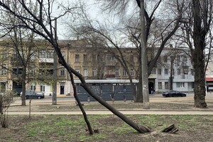 Пять скверов на три квартала: интересная прогулка по Молдаванке  фото 118