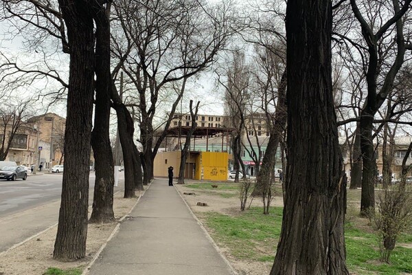 Пять скверов на три квартала: интересная прогулка по Молдаванке  фото 154
