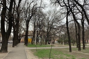 Пять скверов на три квартала: интересная прогулка по Молдаванке  фото 161