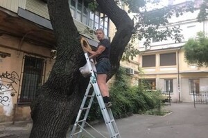 За мини-сад и ремонт подъезда: в Одессе женщина подала в суд на соседа фото