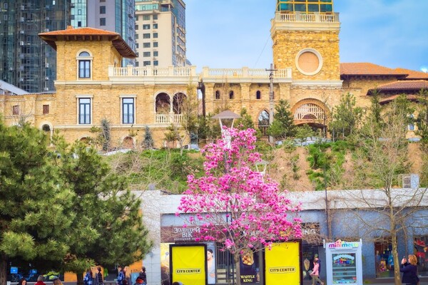Весна в твоем Instagram: где в Одессе цветут магнолии фото 2