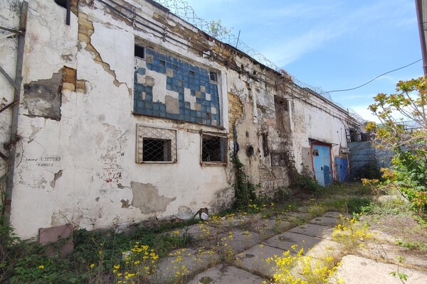 Одесскую колонию предлагают приватизировать: во сколько ее оценили фото 3