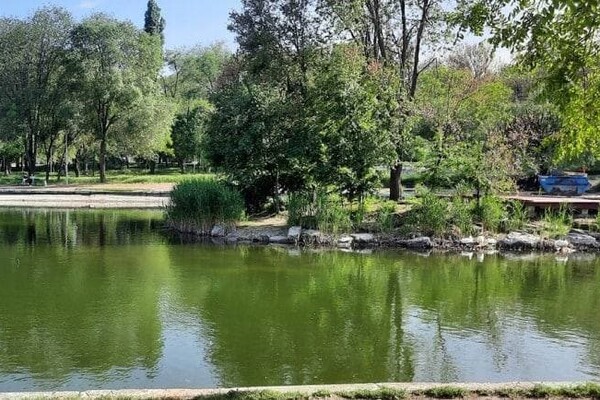 Порадуйся: на территории Дюковского парка в Одессе почистили пруд  фото