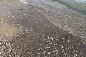 Пляж в Крыжановке: плюсы, минусы и как проходит подготовка к туристическому сезону  фото 65