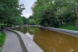 Стыдно: пруд в одесском парке Победы превратился в грязное болото фото 5
