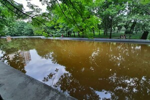 Стыдно: пруд в одесском парке Победы превратился в грязное болото фото 3
