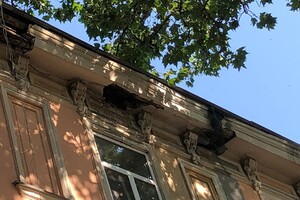 В центре Одессы обвалился фасад здания: балки и валуны засыпали тротуар фото 3