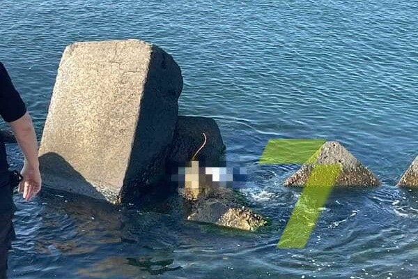 Случайно заметили у камней: на одесском пляже нашли тело утопленника фото 1