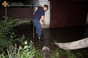 Спасибо спасателям: в Одессе организовали пункт для пострадавших от потопа фото 2